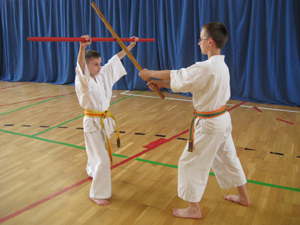 Karate Ostrowiec, Karate w Ostrowcu