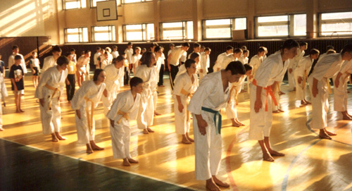 Karate Ostrowiec, Karate w Ostrowcu, judo Ostrowiec, tae kwon do Ostrowiec, boks Ostrowiec